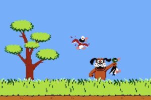 duck hunt