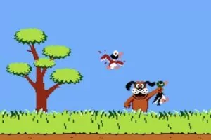 duck hunt