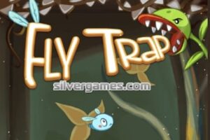 fly trap