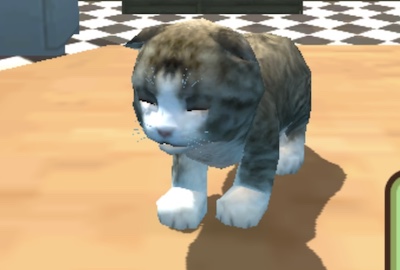 cat sim