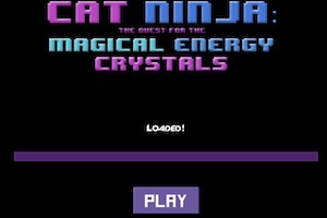 ninja cat